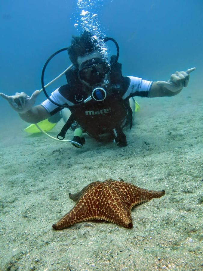 E Mergulho Dolce Praia Vermelha (Rio de Janeiro)